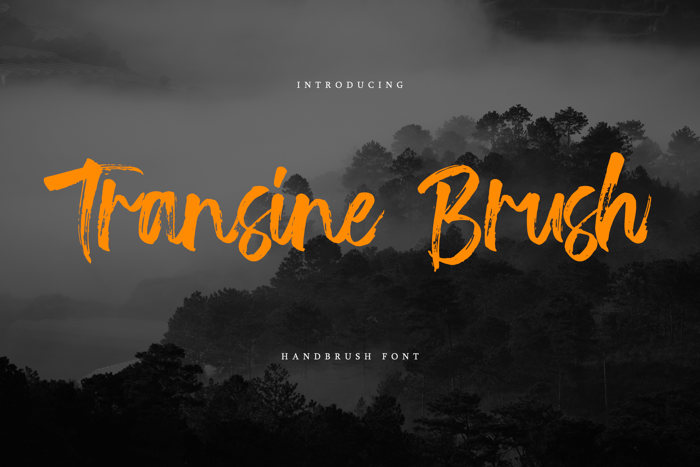 Transine Brush Font poster