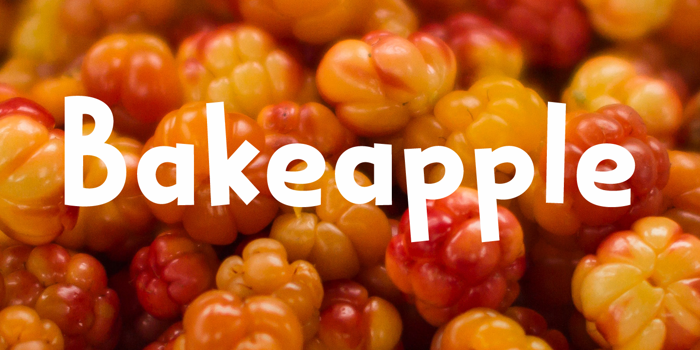 Bakeapple DEMO Font poster