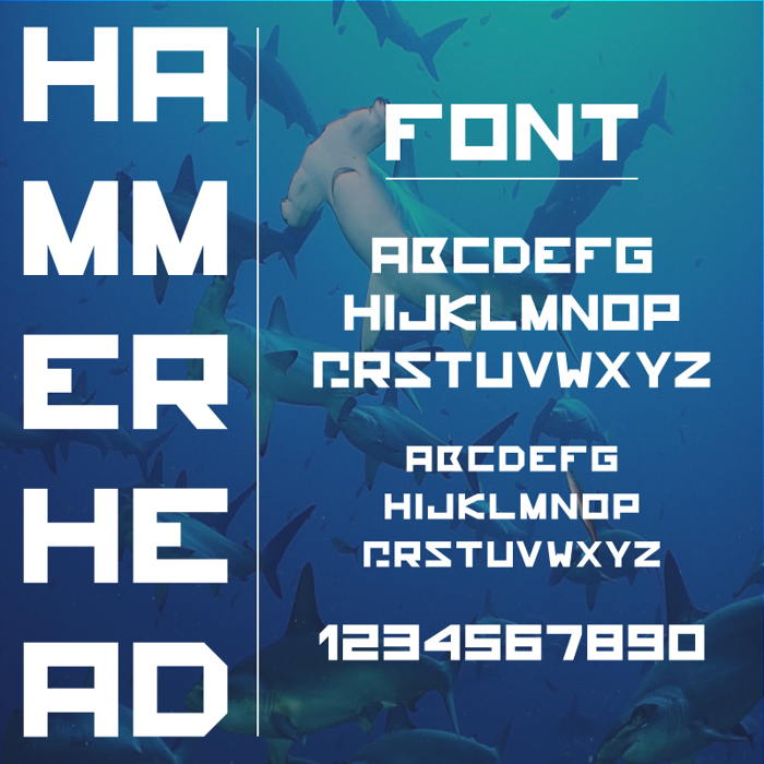 hammerhead Font poster
