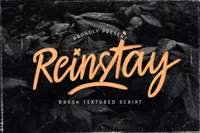 Reinstay Font poster