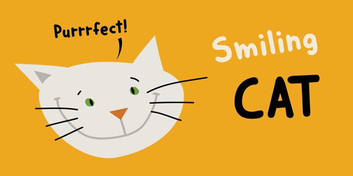DK Smiling Cat Font poster