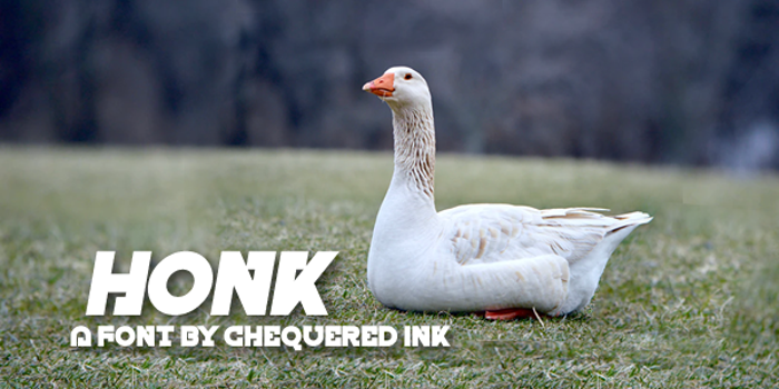 Honk Font poster