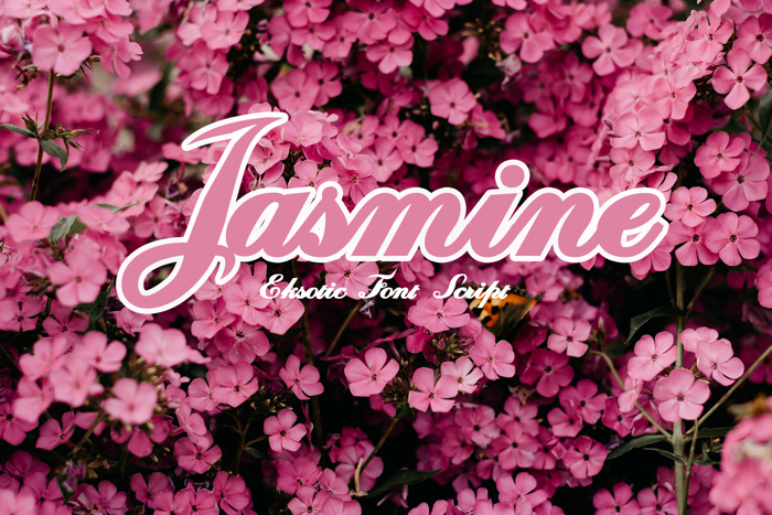 Jasmine Font poster