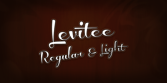 Levitee Demo Font poster