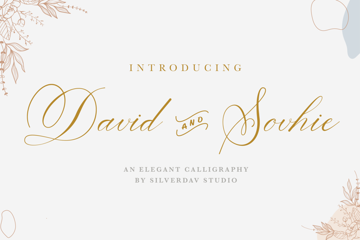 David And Sovhie Font poster