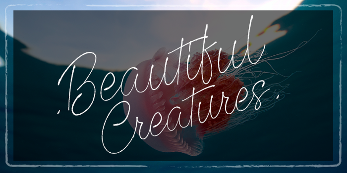 Beautiful Creatures Font poster