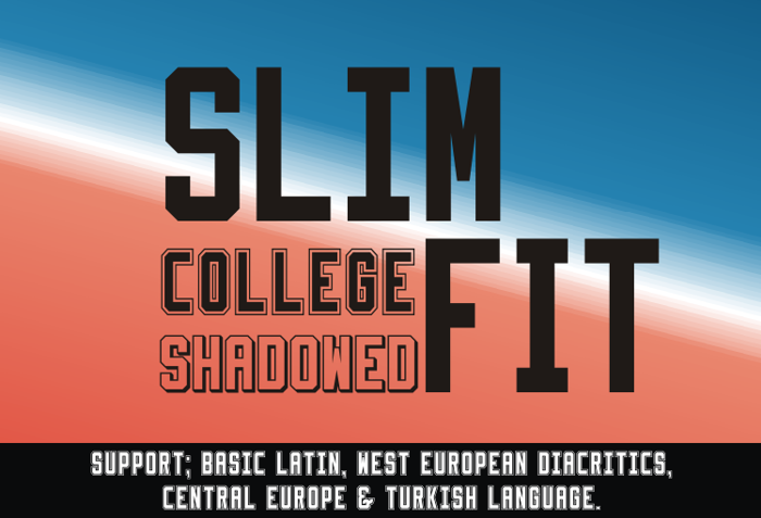 Slimfit Font poster