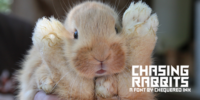 Chasing Rabbits Font