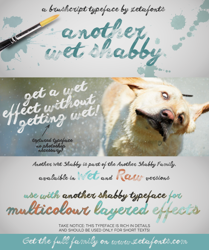 Another shabby Font poster