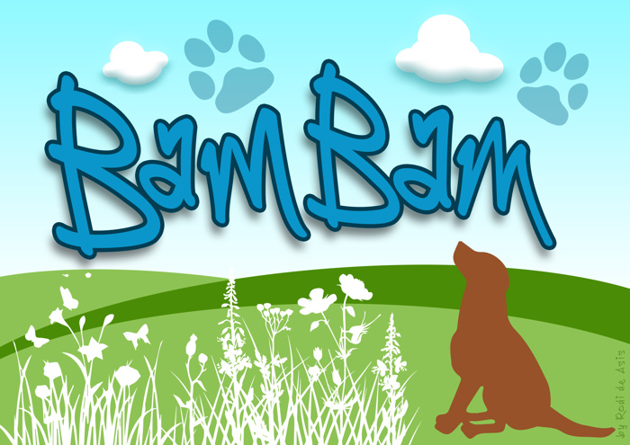BamBam Font poster