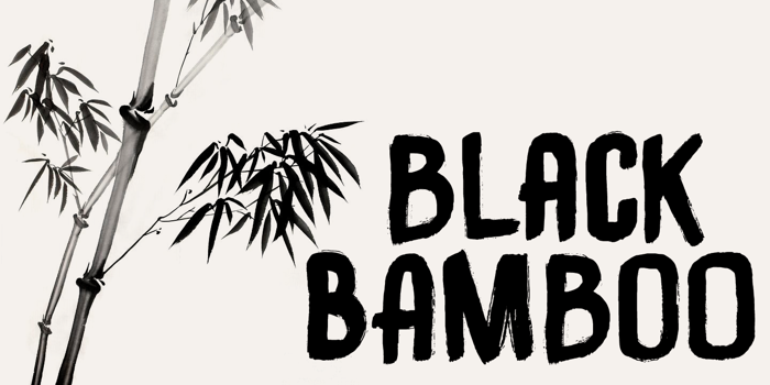 DK Black Bamboo Font poster