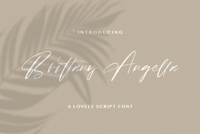 Brittany Angella Font poster