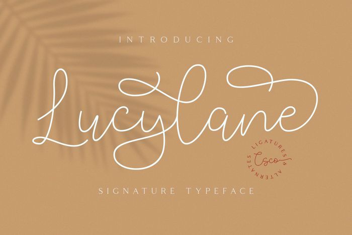 Lucylane Font poster