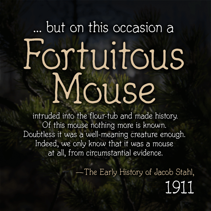 Fortuitous Mouse poster