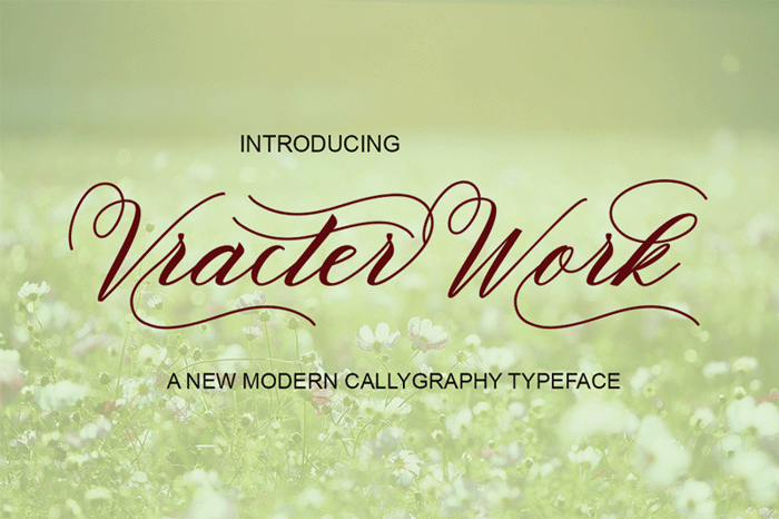 VracterWork Font poster