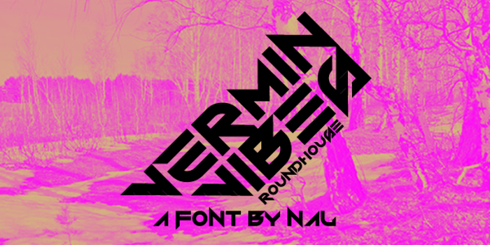 Vermin Vibes Roundhouse Font poster