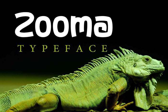 Zooma Font poster