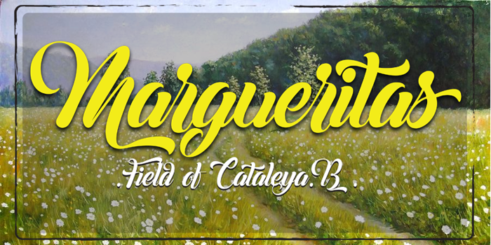 Margueritas Font poster