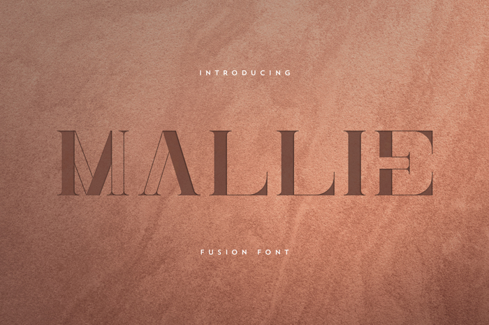 Mallie Font poster