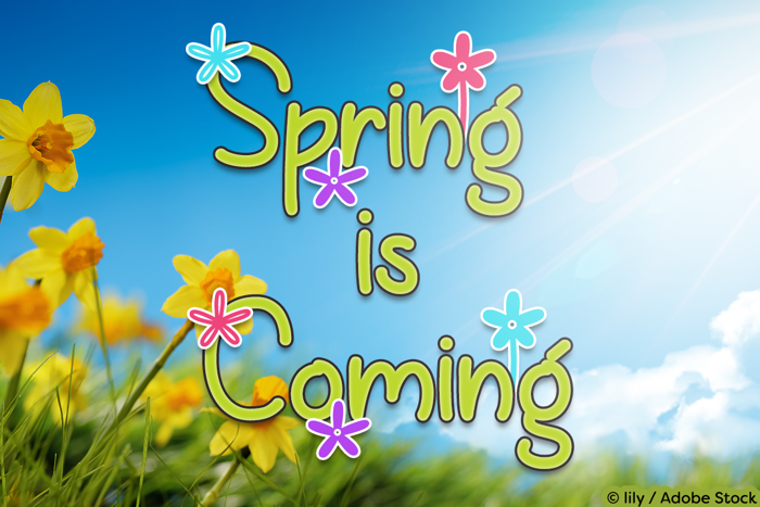 Spring is Coming Font poster