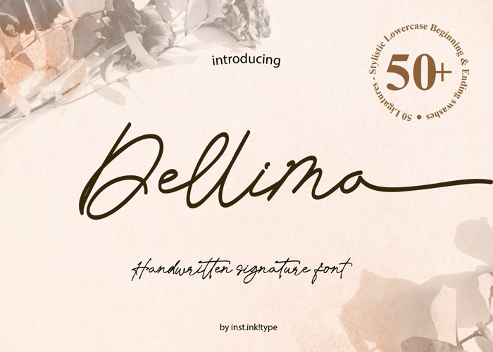 Dellima Font poster