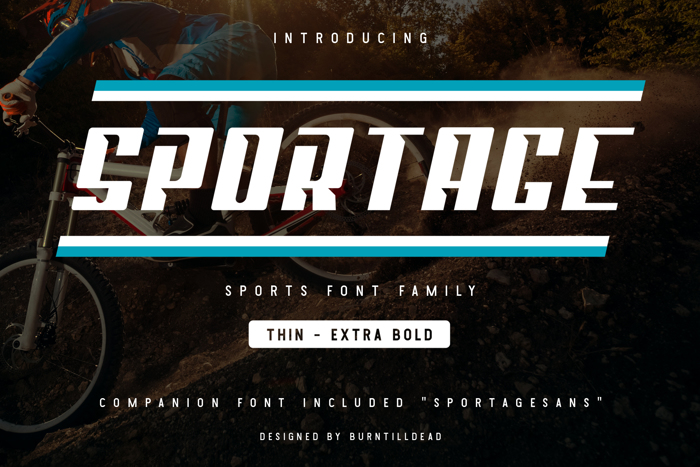 Sportage Font poster