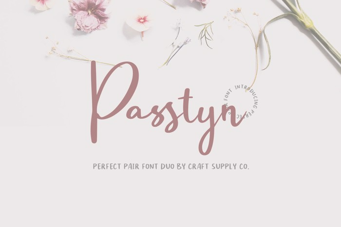 Passtyn Script Font poster