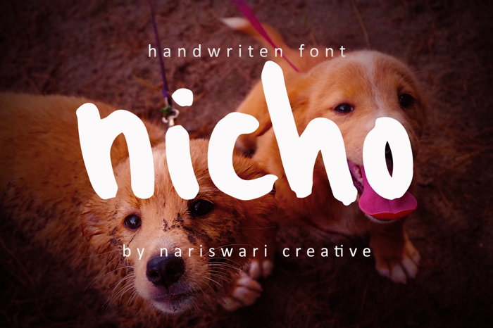 Nicho poster