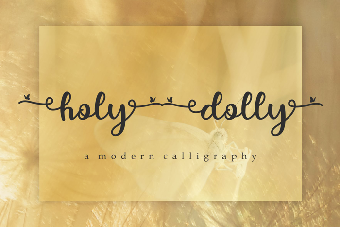 holy dolly Font poster