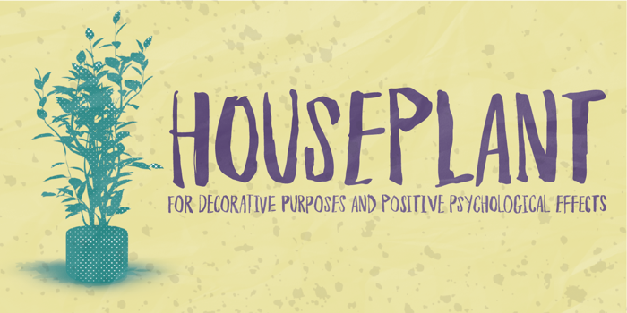 Houseplant DEMO Font poster