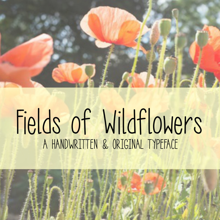 MRF Fields of Wildflowers Font poster