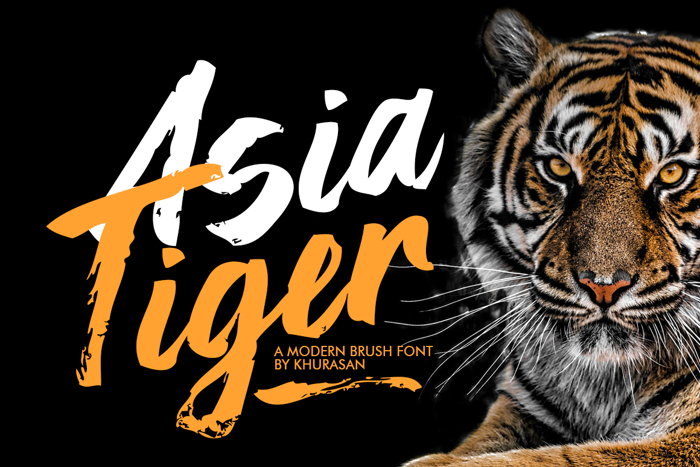 Asia Tiger Font poster