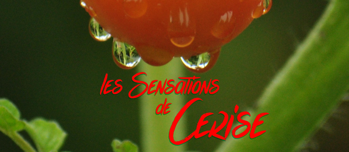 les Sensations de Cerise Font poster
