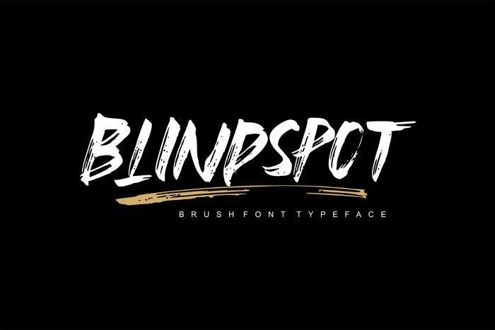 Blindspot Font poster