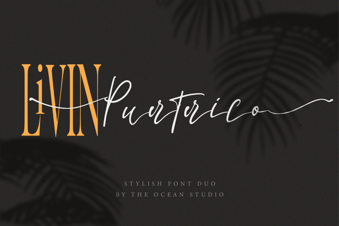 la lune Script Font poster
