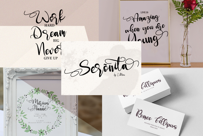 Seronita Font poster