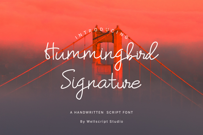 Hummingbird Font poster