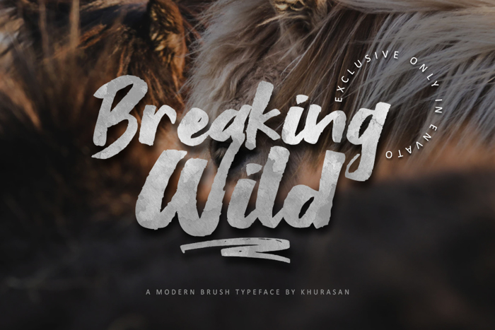 Breaking Wild Font poster