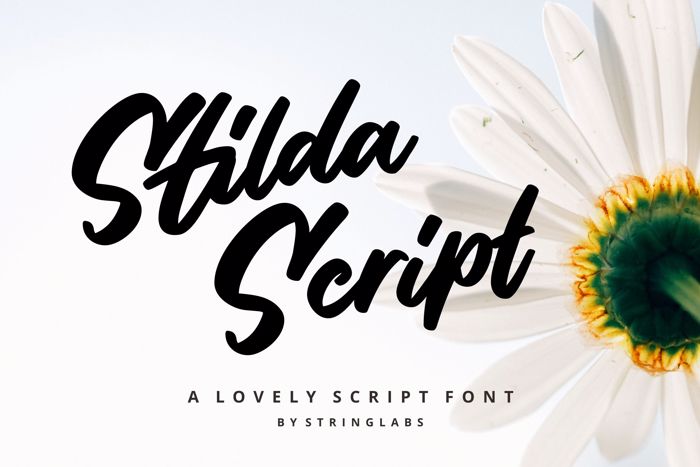 Stilda Script Font poster