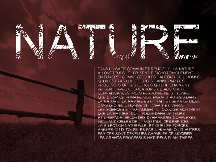 Nature Font poster