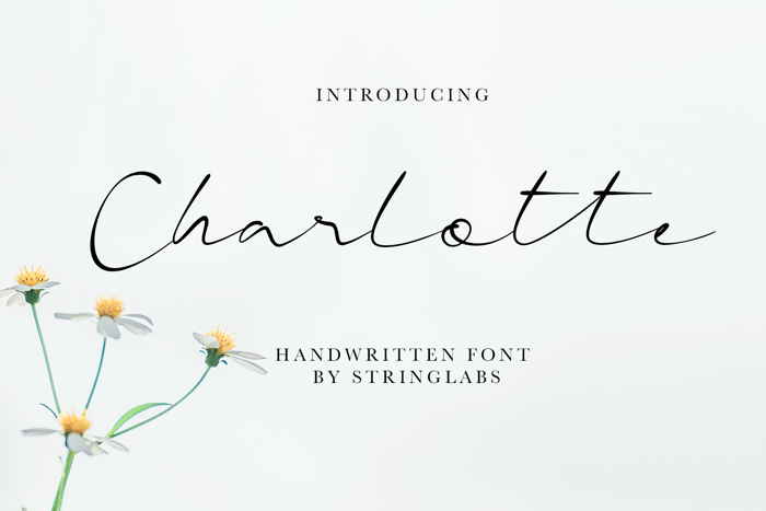 Charlotte Font poster