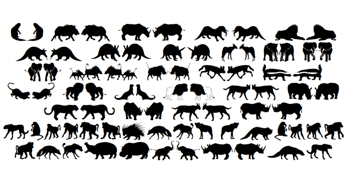 Afrika Wildlife B Mammals2 Font poster