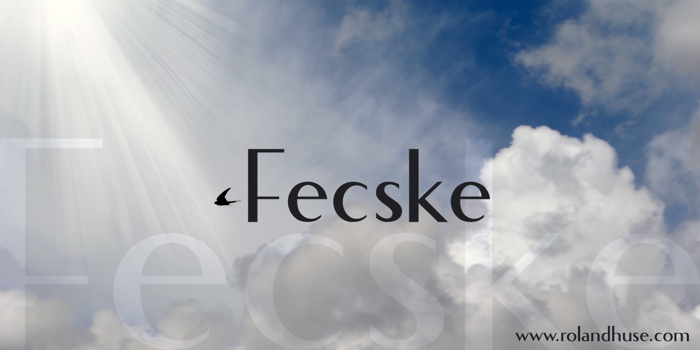 Fecske Font poster