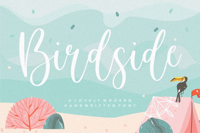 Birdside Font poster