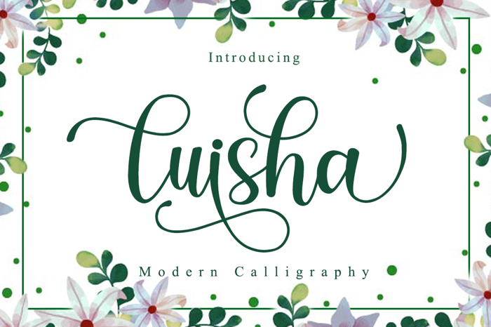 luisha Font poster