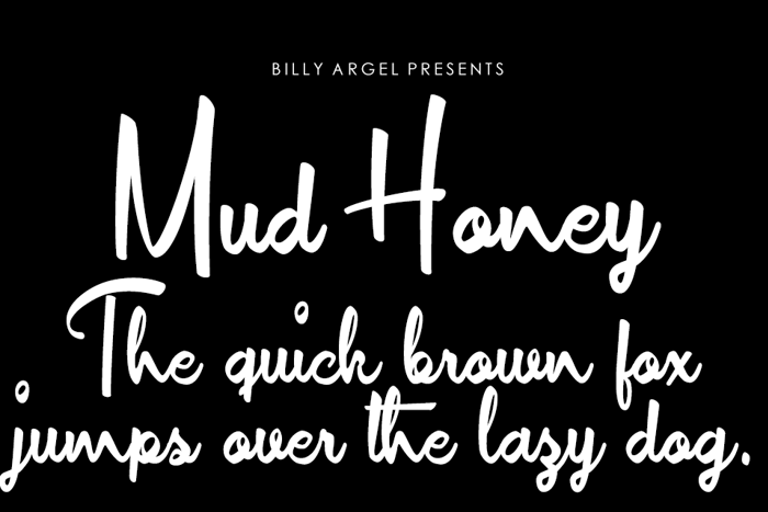 Mud Honey Font poster