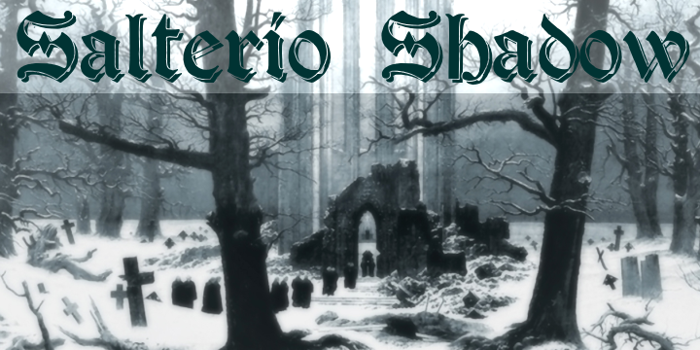 Salterio Shadow Font poster