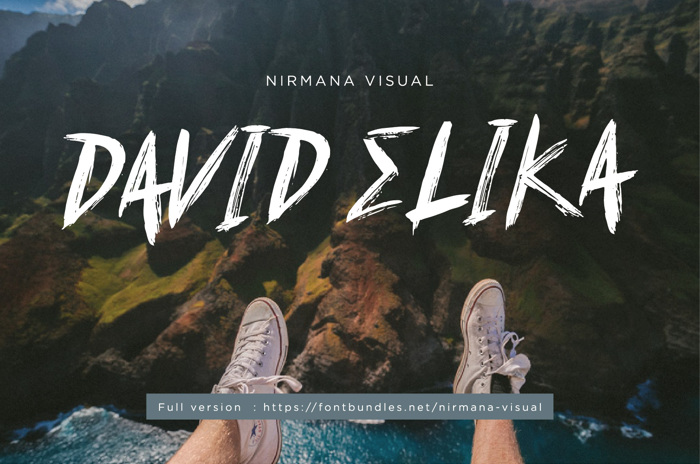 David Elika Font poster