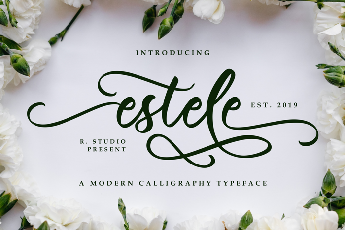 Estele Font poster