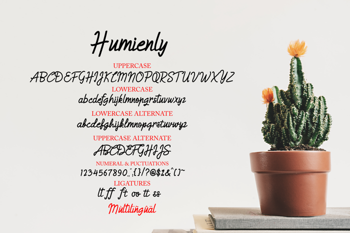 HumienlyDemo Font poster